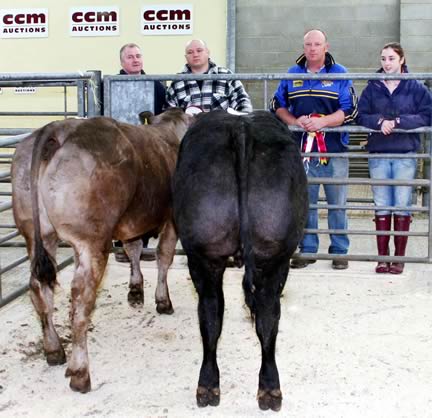 Pictured with the Skipton store cattle with show potential champion, left, and reserve champion, are, from left, judge Ian Swales, debut title winner Fred Saunders and runner-up Richard Maudsley and his 16-year-old daughter Beth.