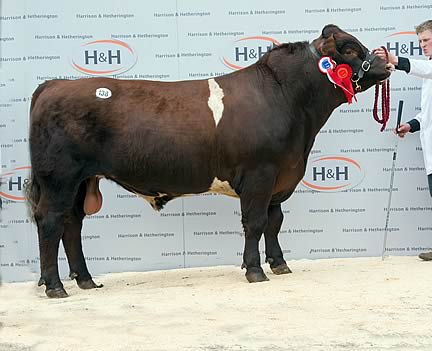 Cairnsmore Eric - 3,200gns