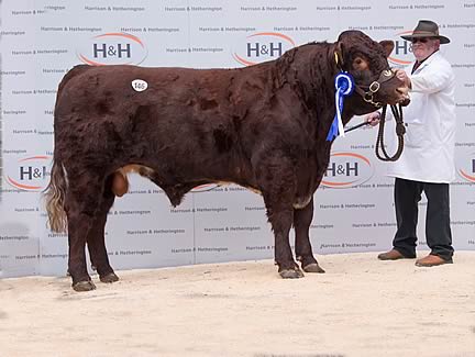 Wells Edward 4,200gns