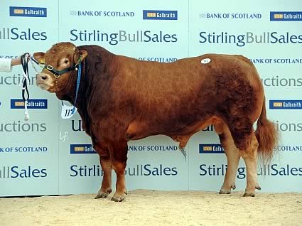 Ronick Globe - 6,000gns