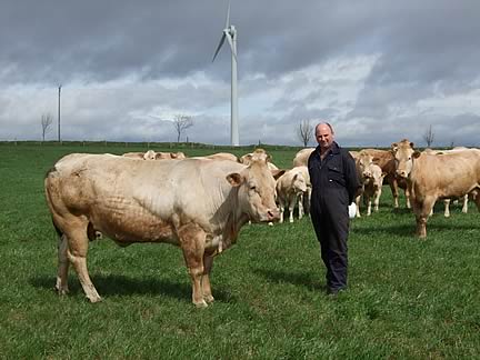 James with Blondes and wind turbine