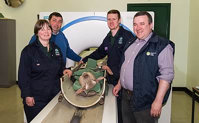 (L-R): Kirsty McLean; Tim Greenow; John Gordon (CT Scanning Service) and Andrew Walton.