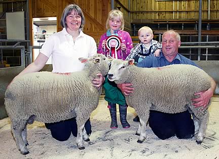 Charollais-cross- Beltex lambs