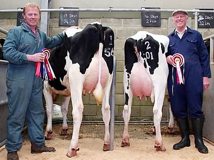 Mark, left, and Fred Houseman, with their May Craven Dairy Auction champion and reserve champion