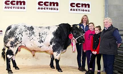 Lisa Metcalfe with the Lingfields Beef Cattle Fair reserve champion, joined by daughter Rosie and best friend Laurhen Phillips - both 11-year-olds are in their final year at Clayton Village Primary School - and show judge Janet Sheard.