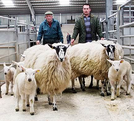 Skipton Mule hoggs champions