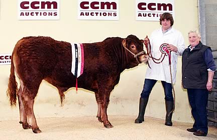Chris Prince with 2013 Lingfields Beef Cattle Fair champion, joined by judge Janet Sheard