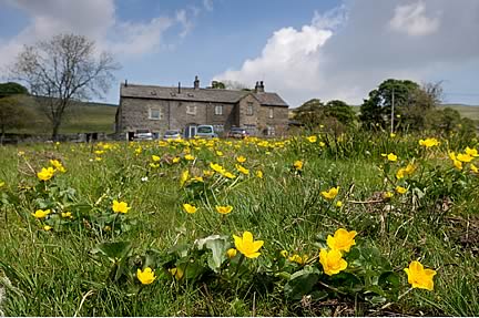 Nethergill Farm