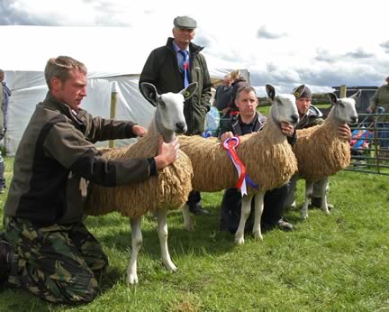 Champion Group