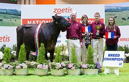 Interbreed Reserve Champion - Soulseat Jublend Beatrice