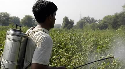 Pesticide Spraying