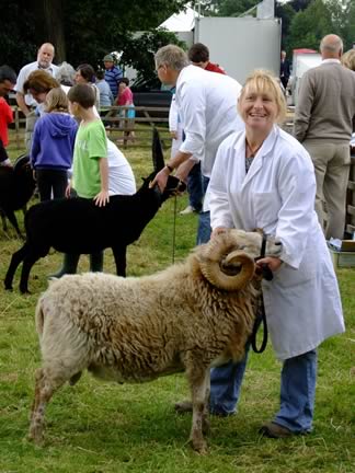 Lyn Arrowsmith with Boreray ram