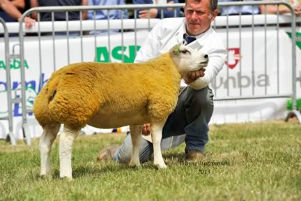 Paul Tippetts With Champion Royal Welsh E Lamb