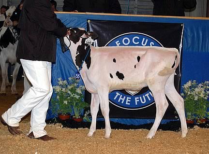 Farnear-TBR-BH Case Caite