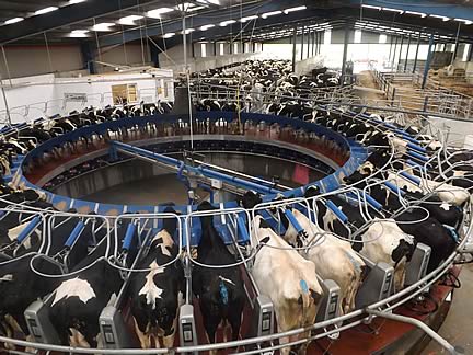 50 unit PR2100 DeLaval rotary parlour