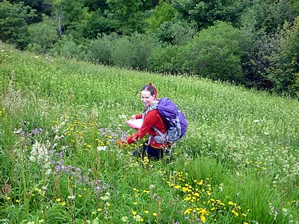 Ruth Surveying banks
