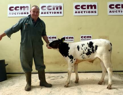 Shaun Sowray £600 calf 