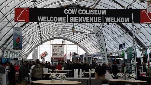 Cow Coliseum
