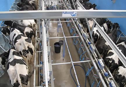 Visitors to the Walford College open day will be able to view the cows being milked in the College’s new herringbone and state-of-the-art robotic parlours