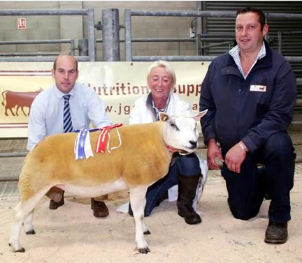 Anne Moss, with her CCM Skipton Beltex reserve supreme champion and top price shearling ewe, joined by judge Simon Blandford and co-sponsor Robert Garth, of JG Animal Health.