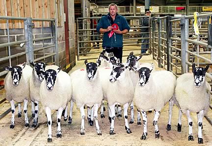 Stuart Horn with his first prize Mule gimmer shearlings.