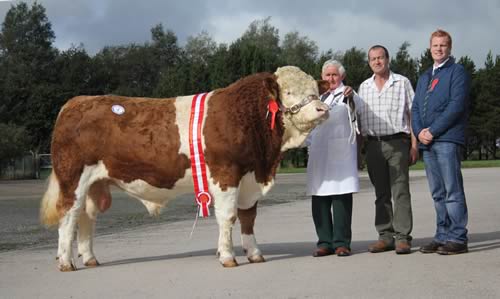 Male and supreme overall champion was Coolcrannel Dusty which sold at 2,400gns for Willie Phair, Lisbellaw, County Fermanagh. Adding their congratulations are Stephen Buick, Bruces Hill, sponsor; and judge Christopher Weatherup, Ballyclare