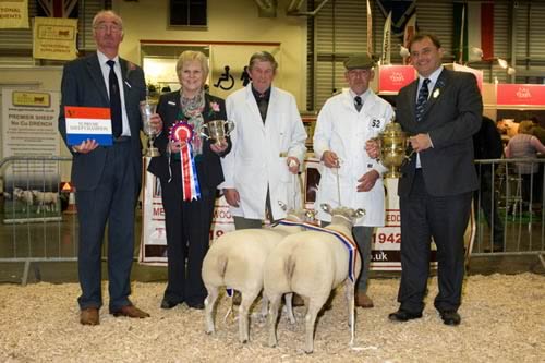 2011 East of England Smithfield Festival Prime Sheep Champions