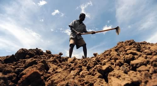 FAO Soil