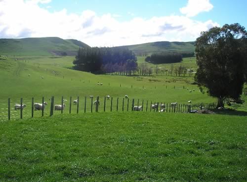NSA visited New Zealand in August 2013 as part of a fact finding trip organised by Eblex