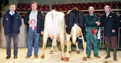 Pictured at the final Craven Dairy Auction of 2013 are, from left, BOCM Paul’s Phil Coleman, Andrew Jennings and the reserve champion, the title winner and Robert Crisp, and judge Stuart Verity.