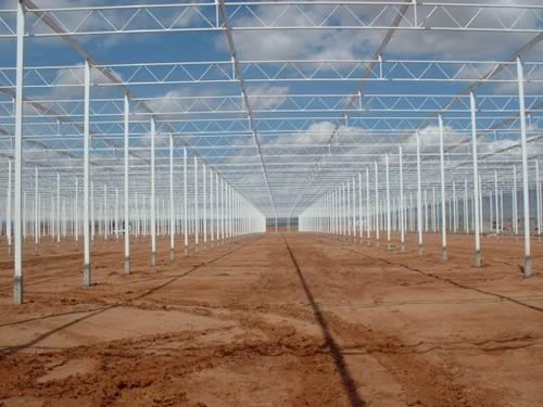 Duijnisveld Greenhouse Arizona Structure