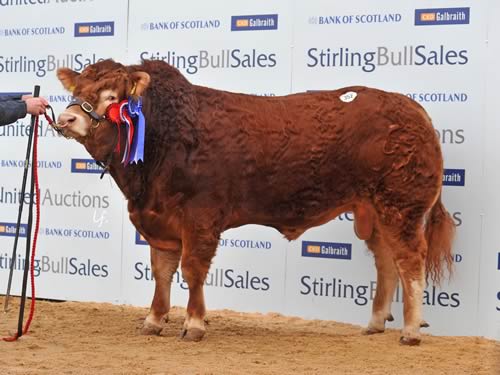 Elrick Handsome 12500gns