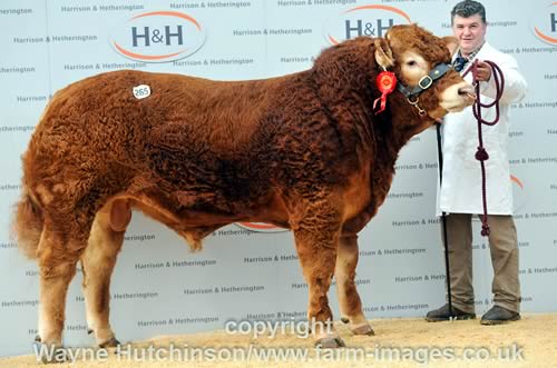 Grahams Humphrey – 37,000gns