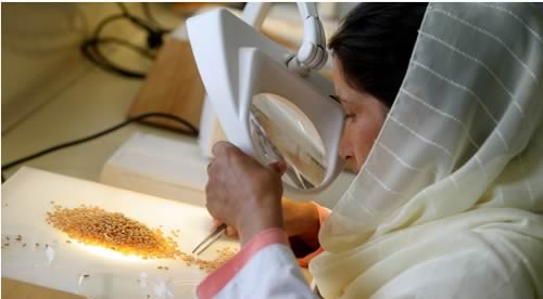 Genebank Standards for Plant Genetic Resources for Food and Agriculture