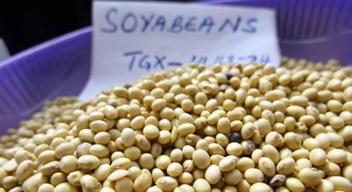 soya