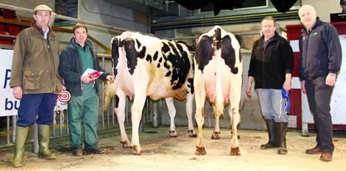 Pictured at Skipton’s main February Craven Dairy Auction are, from left, judge Robin Jennings, Brian Moorhouse and his title winner, the reserve champion and Richard Close, and sponsor Keith Colley, of BOCM Pauls.