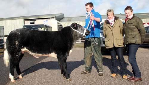 Co-judges Annie Turnbull, left, and Lucy Corner check out the Akriggs’ Craven Champions Day female and male champions, handled by Tom Akrigg and Emily Carr. The heifer went on to become supreme champion.