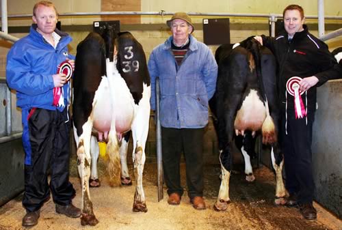 Pictured in the dairy shippon at Skipton following the early February show are, from left, Mark Houseman and the champion, judge Colin Whiteoak and Gary Robinson and the reserve champion.