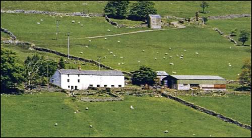 Farm