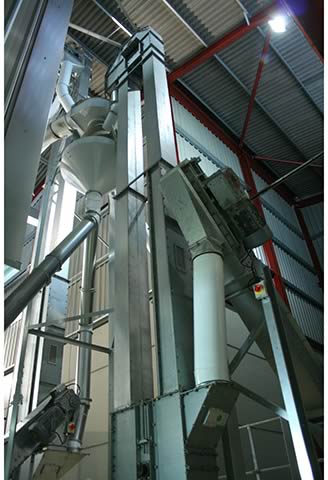 Elevator No1 lifts the crop to a Kongskilde KF60 spinning disc aspirator that removes shrivelled grains, weed seeds and other light material before the grain is channelled to elevators feeding into the drier or store.