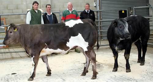 Pictured with the Skipton store cattle with show potential champion, left, and reserve, are, from left, judge Stephen Maskill, reserve champion Jonathan Townley, title winner John Fawcett and sponsors’ representative Paul Drake.