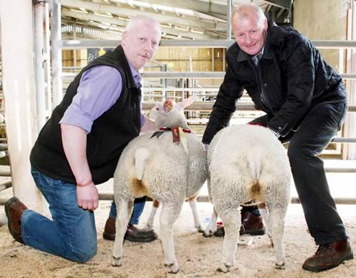 Robert Towers, left, with his Skipton Easter prime lamb champions, joined by judge Mick Etherington.