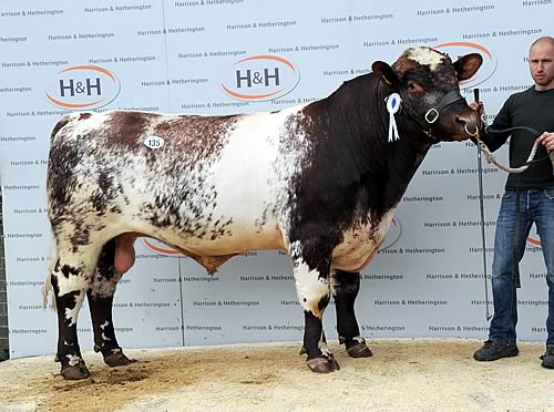 Lowther Fitzroy 6,500gns