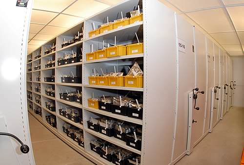 Seed is conserved at -20°C - © - University of Warwick