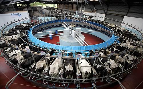Research into cow fertility has the highest priority with Ulster milk producers and green issues the lowest.