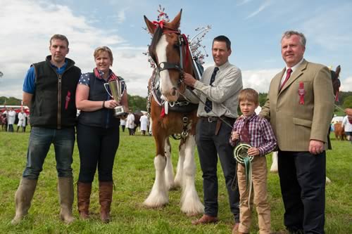 Champion of Champions, 16 year old Clydesdale from John Fairbairn
