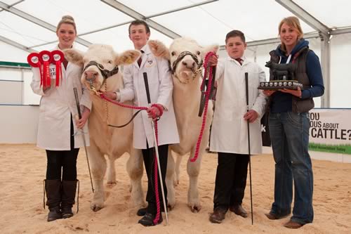 Young Show Stars Champions the British Charolais Cattle Society's Charolais Youth Team