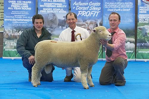 William Carson, right, with his sale leader at 4,800gns Downkillybegs Unique with purchasers Richard, left and David Rossiter, of Kingsbridge Devon.