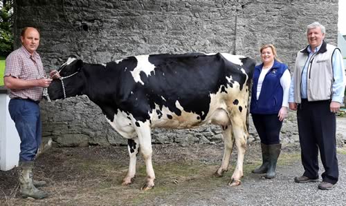 L2R are Donegal man Dessie Dunlevy from ABS Ireland, Ivan and Louise Dawson