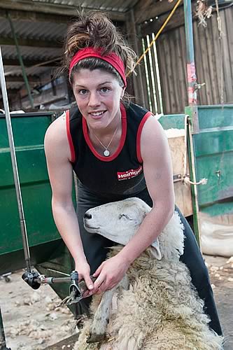 Sheep shearer Alice Petch honing her skills in preparation for nthe Great Yorkshire Show where she will be competing